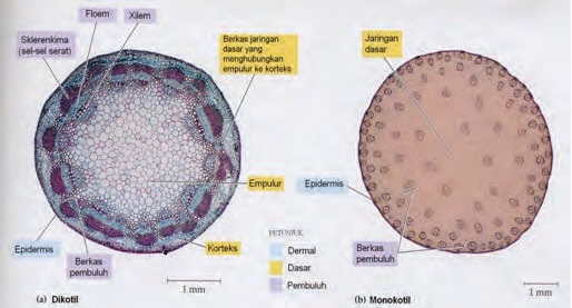 Detail Gambar Bagian Batang Nomer 25