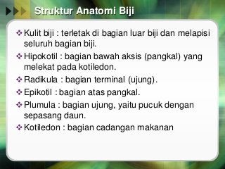 Detail Gambar Bagian Biji Nomer 35