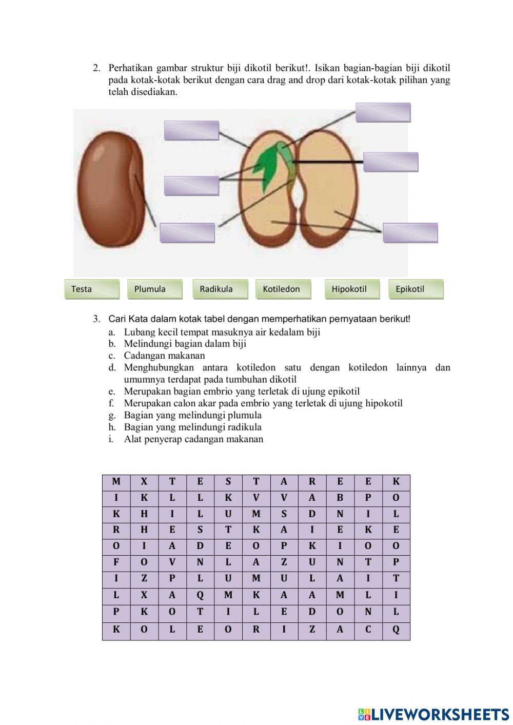 Detail Gambar Bagian Biji Nomer 42