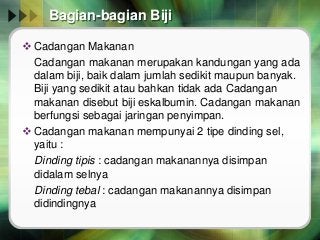 Detail Gambar Bagian Biji Nomer 43