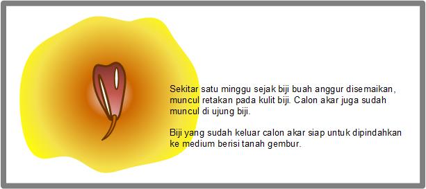 Detail Gambar Bagian Biji Nomer 50