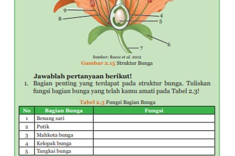 Detail Gambar Bagian Bunga Dan Fungsinya Nomer 28