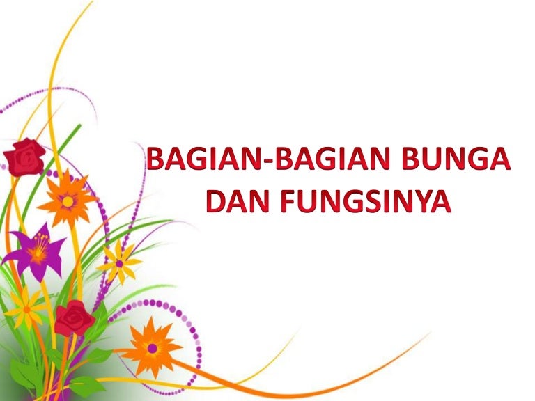 Download Gambar Bagian Bunga Dan Fungsinya Nomer 40