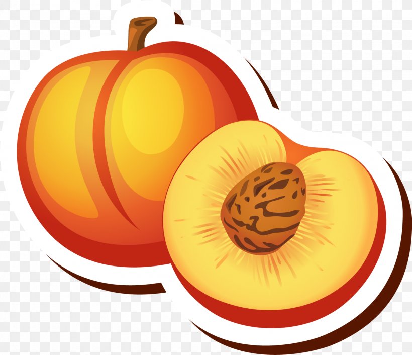 Detail Peach Drawing Nomer 10