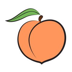 Detail Peach Drawing Nomer 13