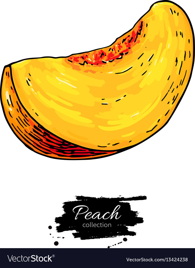 Detail Peach Drawing Nomer 14