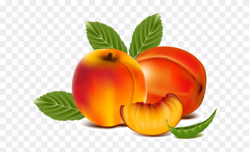 Detail Peach Drawing Nomer 16