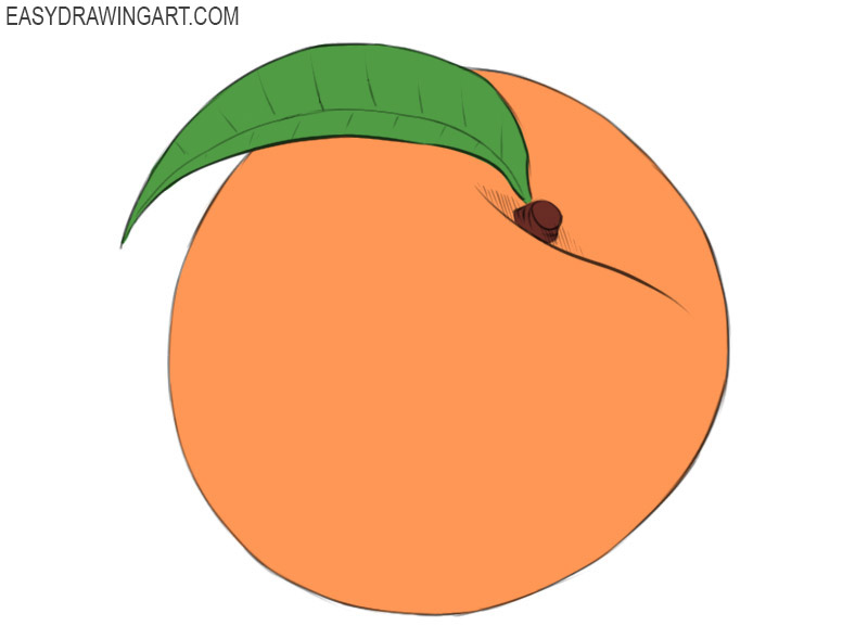 Peach Drawing - KibrisPDR