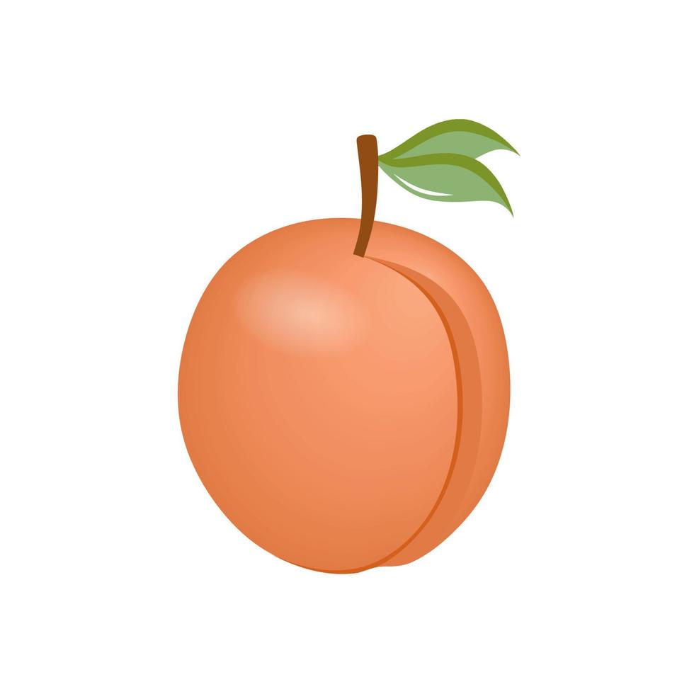 Detail Peach Drawing Nomer 17
