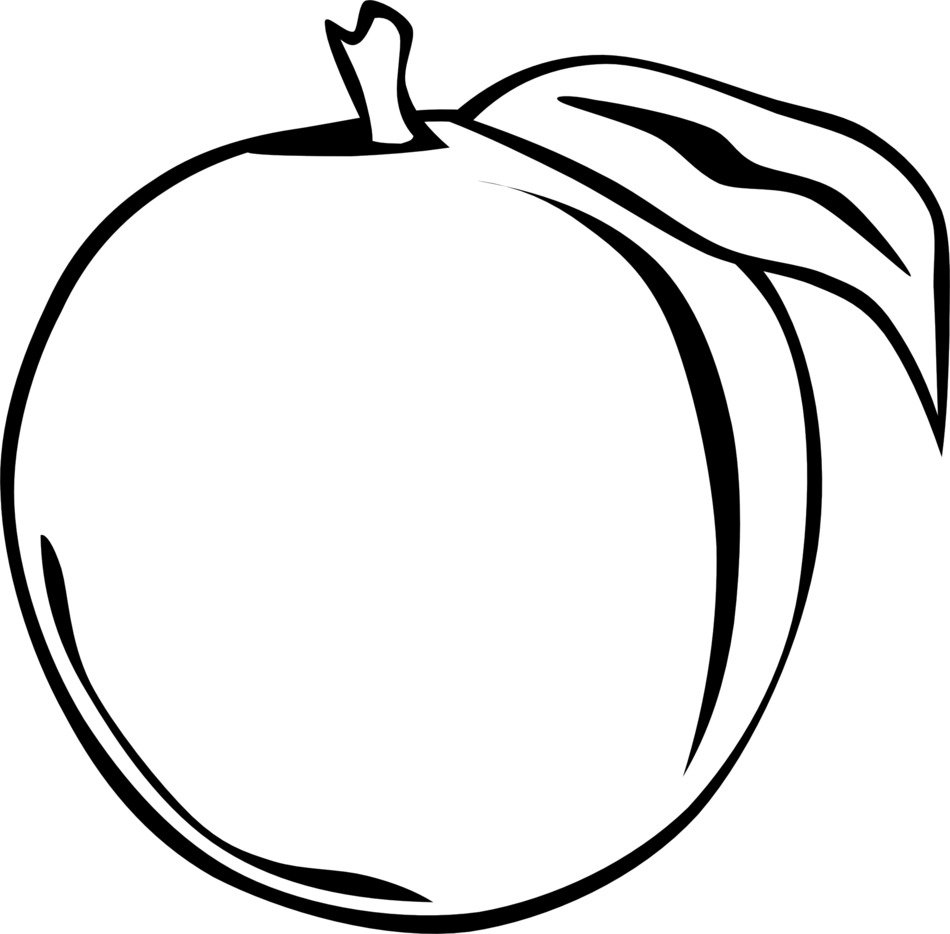 Detail Peach Drawing Nomer 18