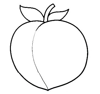 Detail Peach Drawing Nomer 19