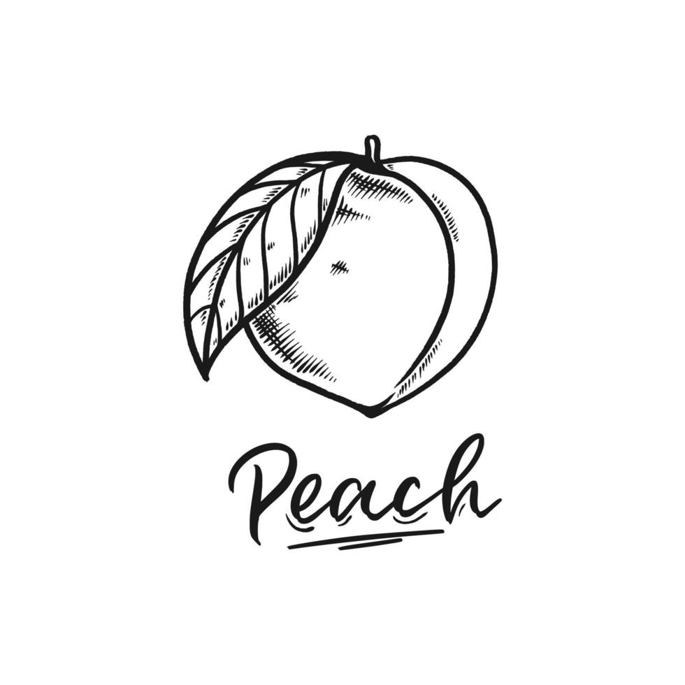 Detail Peach Drawing Nomer 23