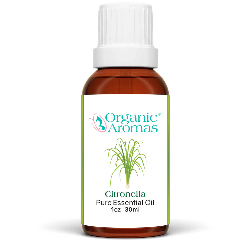 Detail Arthrose Doterra Nomer 11