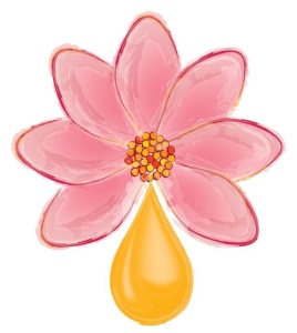 Detail Arthrose Doterra Nomer 12