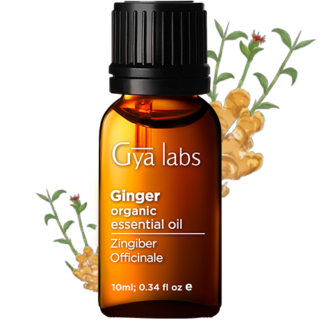 Detail Arthrose Doterra Nomer 14