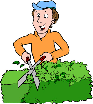 Detail Clipart Hecke Nomer 8