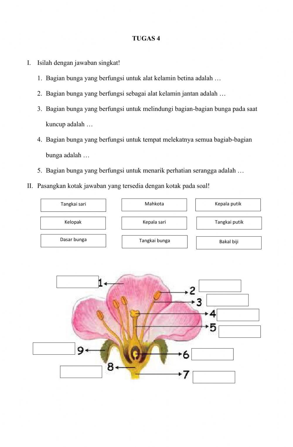 Detail Gambar Bagian Bunga Sempurna Nomer 51