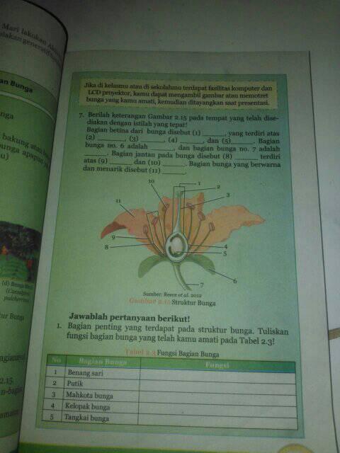 Detail Gambar Bagian Bunga Tanpa Keterangan Nomer 37