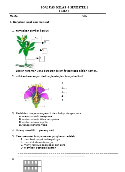 Detail Gambar Bagian Bunga Tanpa Keterangan Nomer 40