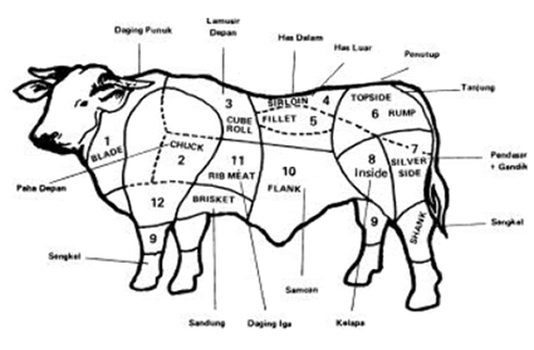 Detail Gambar Bagian Daging Sapi Nomer 2