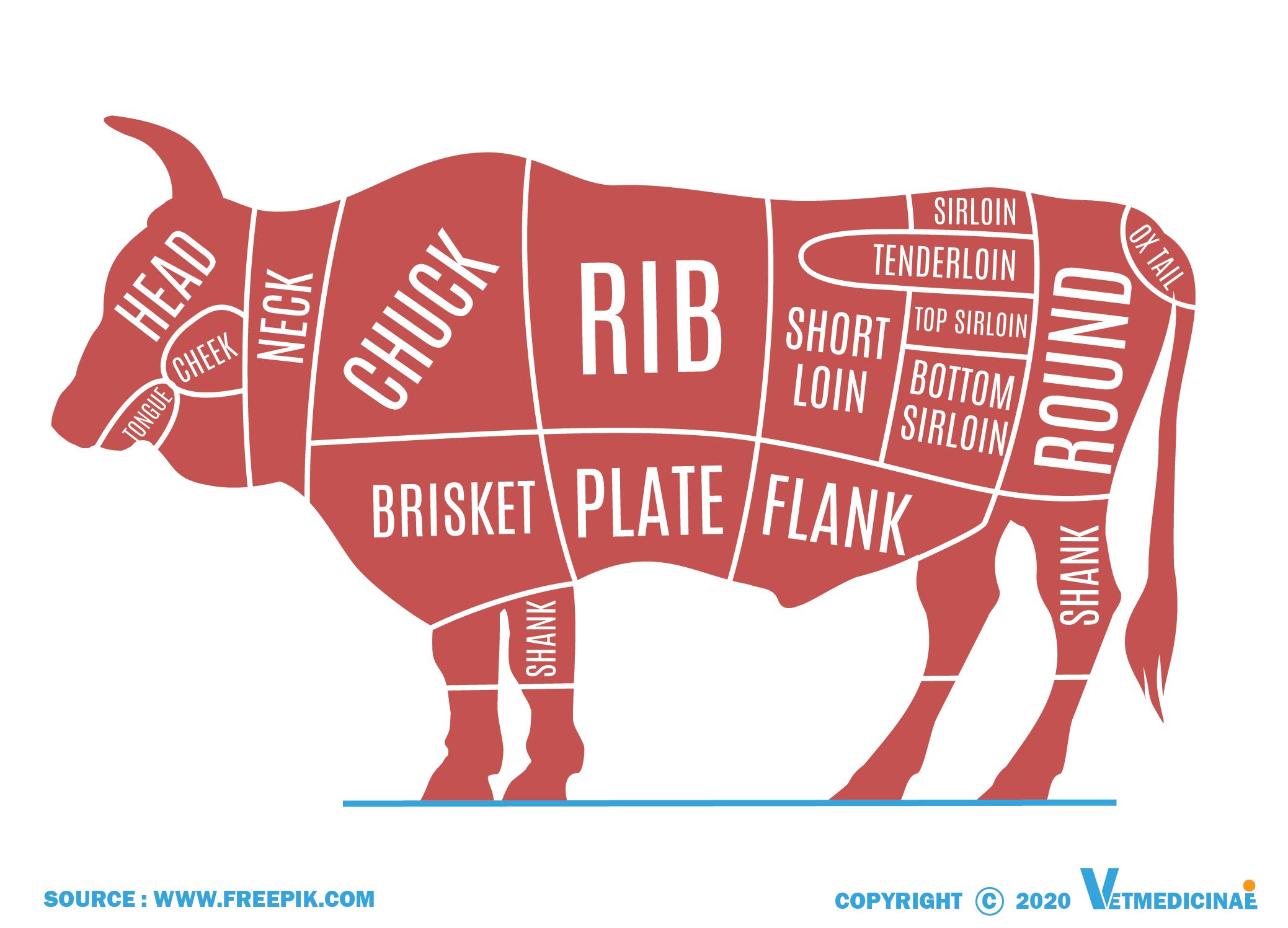 Detail Gambar Bagian Daging Sapi Nomer 15