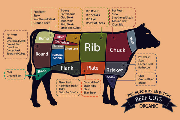 Detail Gambar Bagian Daging Sapi Nomer 3
