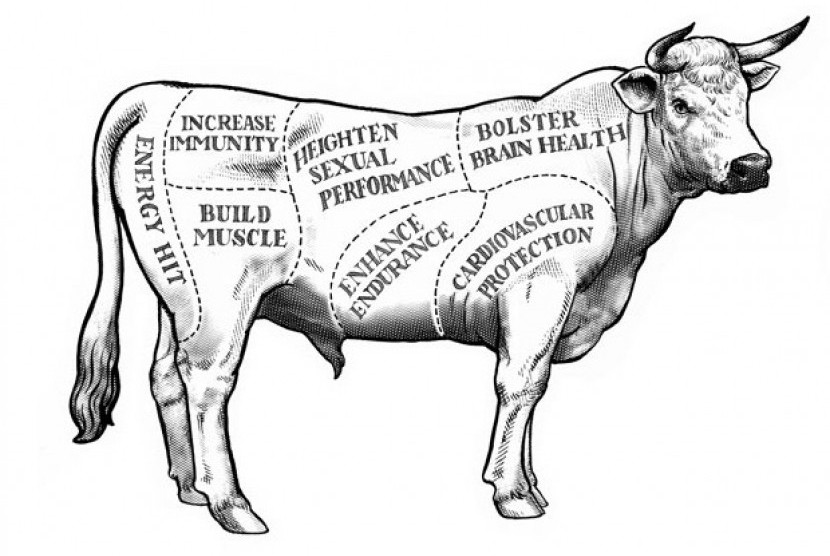 Detail Gambar Bagian Daging Sapi Nomer 21