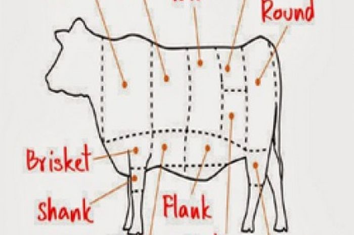 Detail Gambar Bagian Daging Sapi Nomer 25