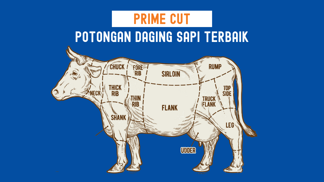 Detail Gambar Bagian Daging Sapi Nomer 27