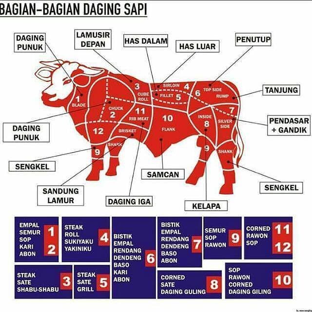 Detail Gambar Bagian Daging Sapi Nomer 33