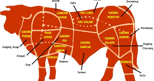 Detail Gambar Bagian Daging Sapi Nomer 37