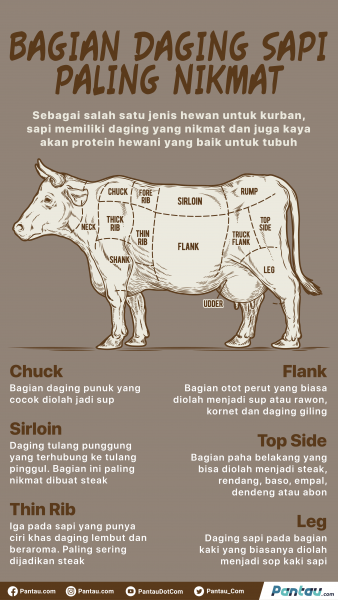 Detail Gambar Bagian Daging Sapi Nomer 39