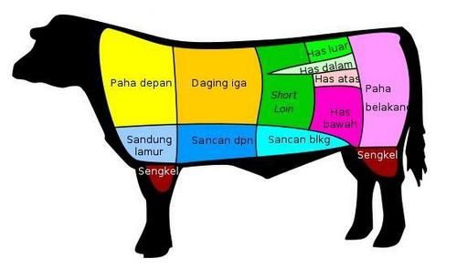 Detail Gambar Bagian Daging Sapi Nomer 6