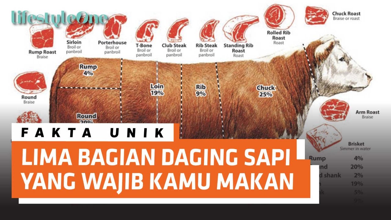 Detail Gambar Bagian Daging Sapi Nomer 45