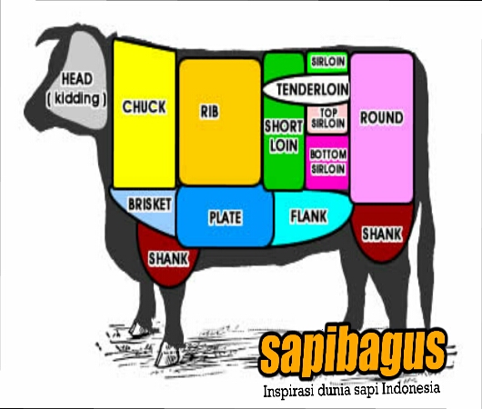 Detail Gambar Bagian Daging Sapi Nomer 46