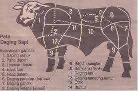 Detail Gambar Bagian Daging Sapi Nomer 49