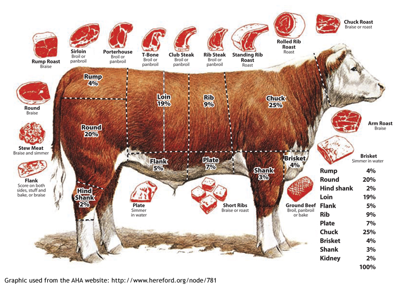 Detail Gambar Bagian Daging Sapi Nomer 7