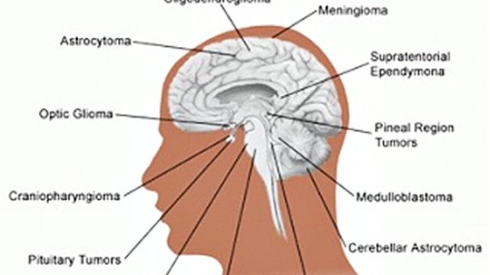 Detail Gambar Bagian Kepala Nomer 9