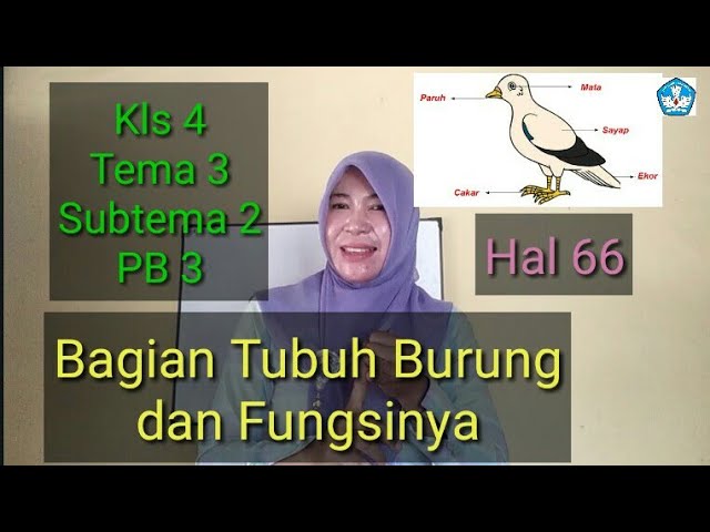 Detail Gambar Bagian Tubuh Burung Merpati Nomer 31