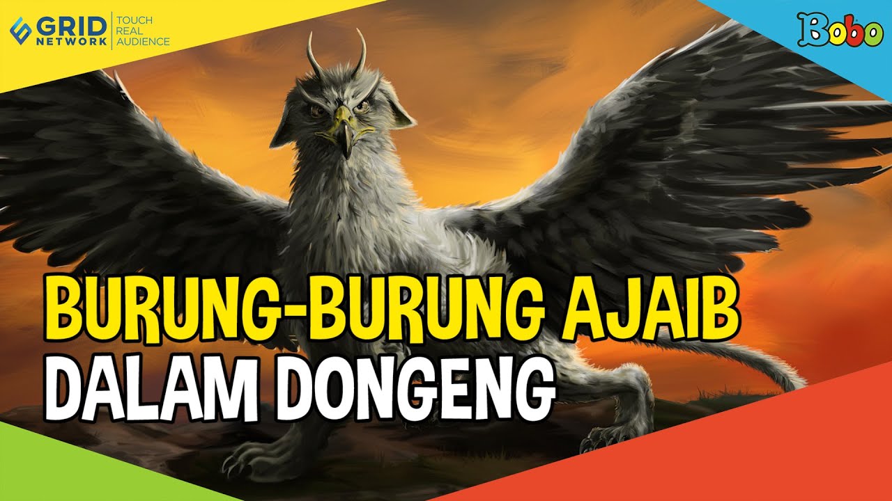 Detail Gambar Bagian Tubuh Burung Merpati Nomer 33