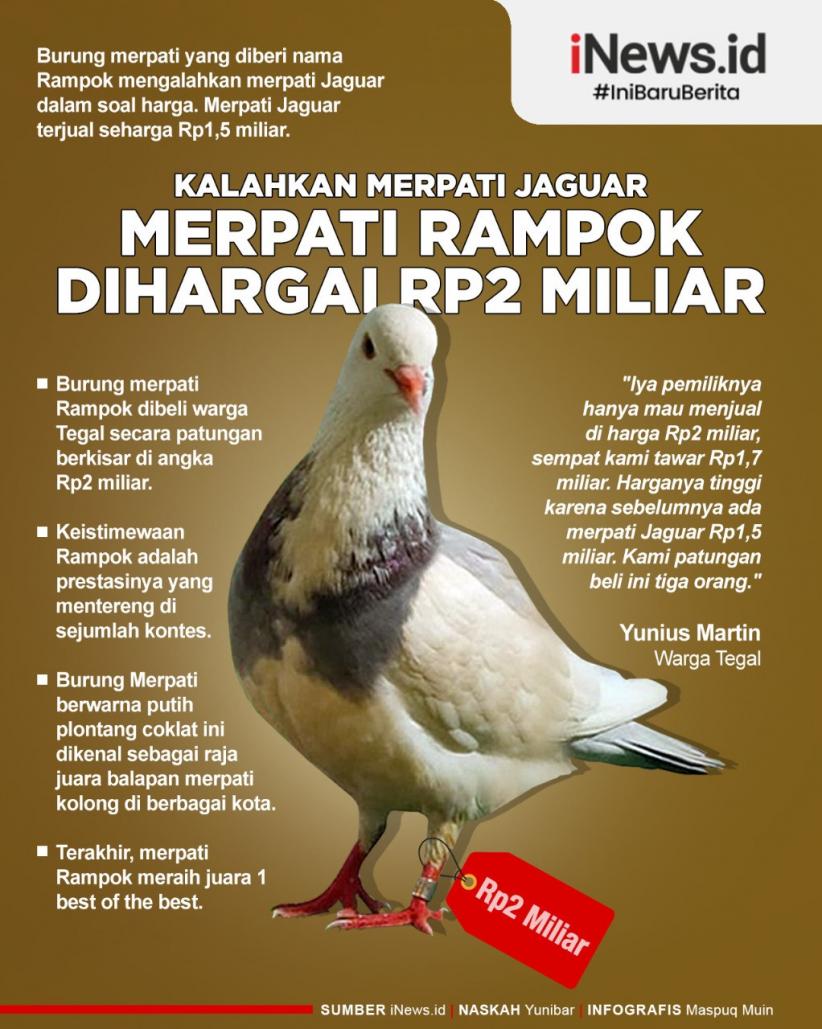 Detail Gambar Bagian Tubuh Burung Merpati Nomer 38