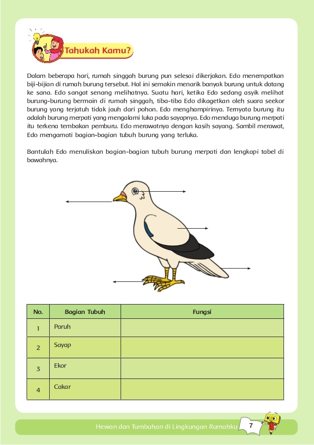 Detail Gambar Bagian Tubuh Burung Merpati Nomer 44