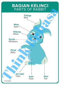 Detail Gambar Bagian Tubuh Dalam Bahasa Inggris Nomer 27