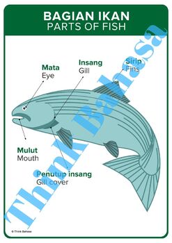 Detail Gambar Bagian Tubuh Dalam Bahasa Inggris Nomer 42