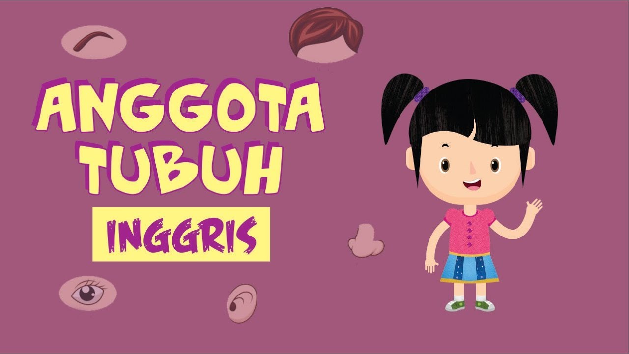 Detail Gambar Bagian Tubuh Dalam Bahasa Inggris Nomer 49