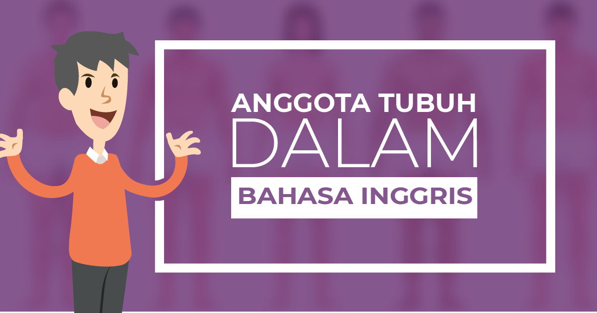 Download Gambar Bagian Tubuh Dalam Bahasa Inggris Nomer 51