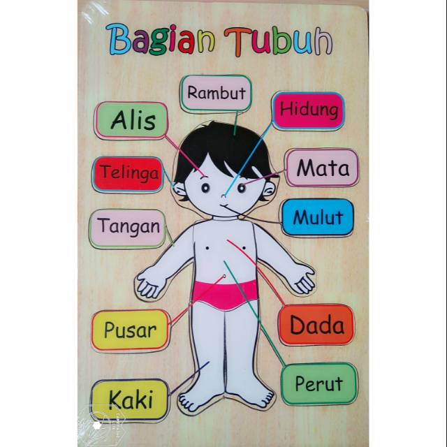 Detail Gambar Bagian Tubuh Kartun Nomer 10