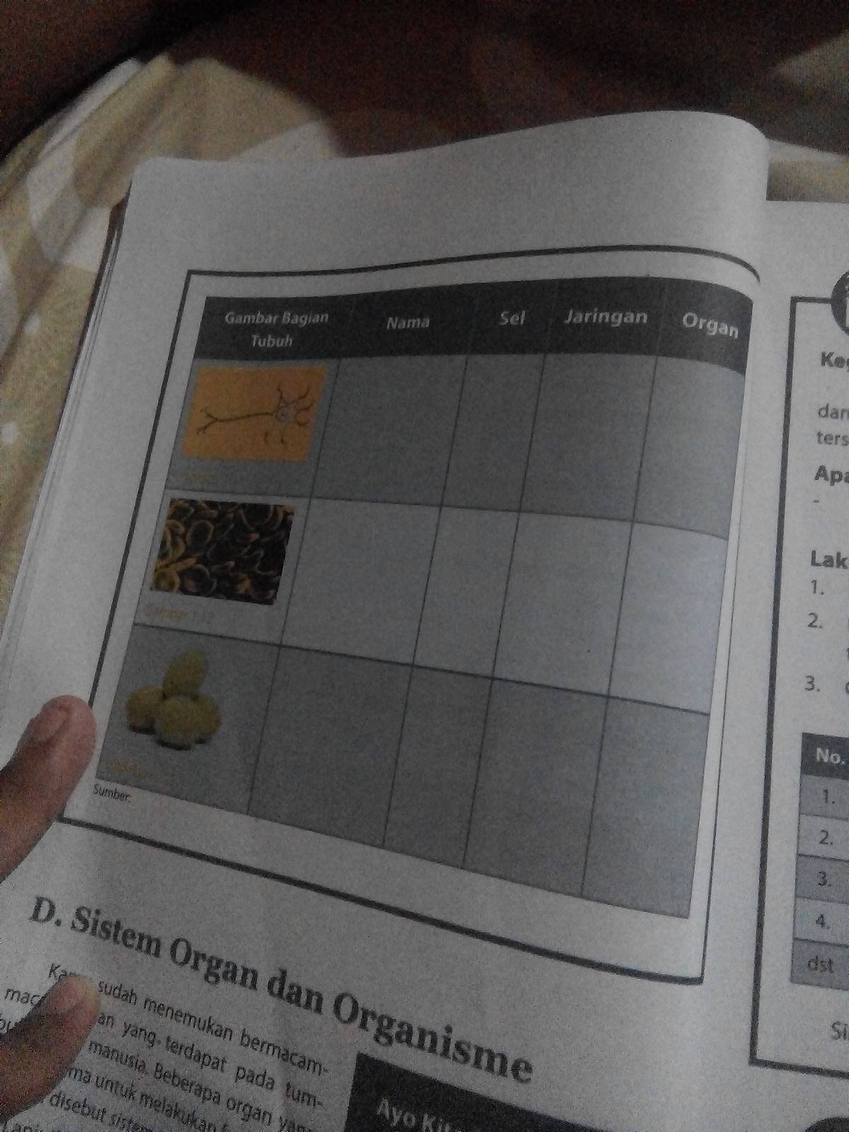 Detail Gambar Bagian Tubuh Nama Sel Jaringan Organ Nomer 14