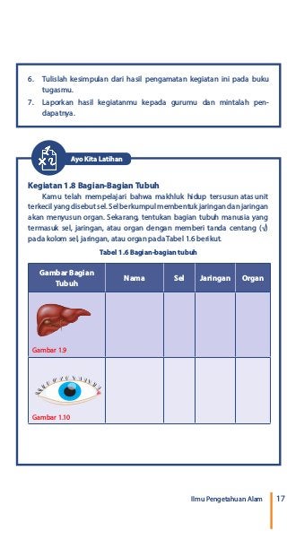 Detail Gambar Bagian Tubuh Nama Sel Jaringan Organ Nomer 5