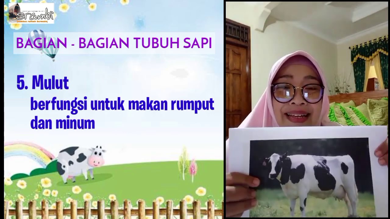 Detail Gambar Bagian Tubuh Sapi Nomer 20